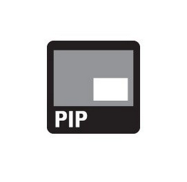 PIP