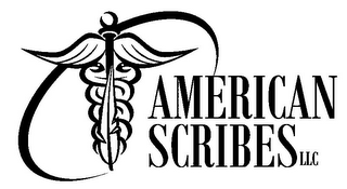 AMERICAN SCRIBES LLC