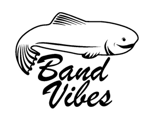 BAND VIBES