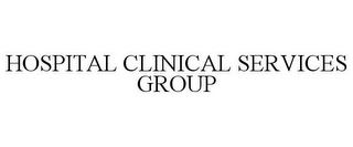 HOSPITAL CLINICAL SERVICES GROUP