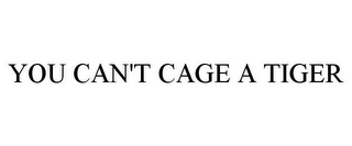 YOU CAN'T CAGE A TIGER