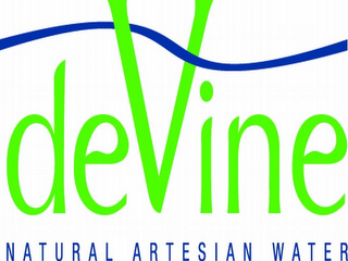 DEVINE NATURAL ARTESIAN WATER