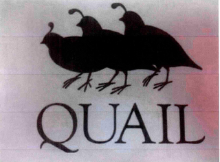 QUAIL