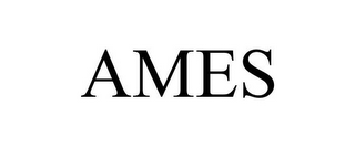 AMES