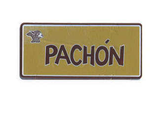 PACHÓN