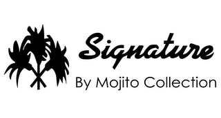 SIGNATURE BY MOJITO COLLECTION