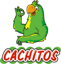 CACHITOS