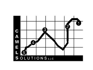 CAMELS OLUTIONS LLC 1 2 3 4 5