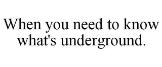 WHEN YOU NEED TO KNOW WHAT'S UNDERGROUND.