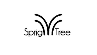 SPRIG TREE