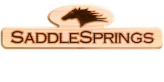 SADDLESPRINGS