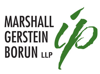 MARSHALL GERSTEIN BORUN LLP IP