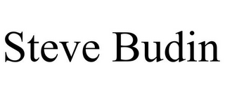 STEVE BUDIN