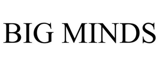 BIG MINDS