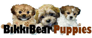 BIKKIBEAR PUPPIES