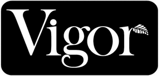 VIGOR