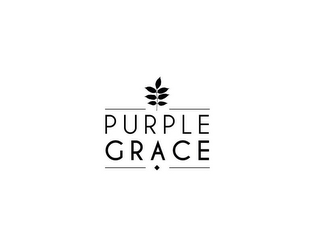 PURPLE GRACE
