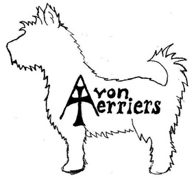 AVON TERRIERS