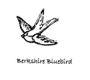 BERKSHIRE BLUEBIRD