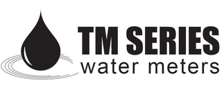 TM SERIES WATER METERS