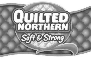 Q QUILTED NORTHERN SOFT & STRONG