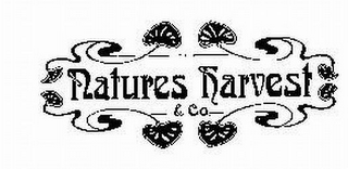 NATURES HARVEST & CO.