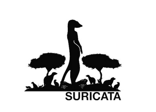 SURICATA