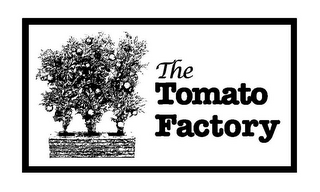 THE TOMATO FACTORY