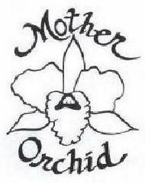 MOTHER ORCHID