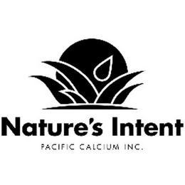 NATURE'S INTENT PACIFIC CALCIUM INC.