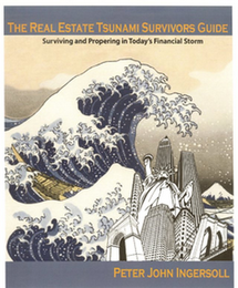 THE REAL ESTATE TSUNAMI SURVIVORS GUIDE SURVIVING AND PROPERING IN TODAY'S FINANCIAL STORM PETER JOHN INGERSOLL