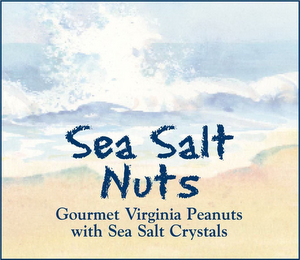 SEA SALT NUTS GOURMET VIRGINIA PEANUTS WITH SEA SALT CRYSTALS