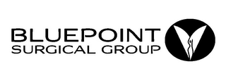 BLUEPOINT SURGICAL GROUP