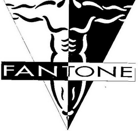 FANTONE