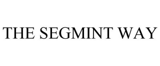 THE SEGMINT WAY