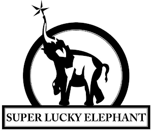 SUPER LUCKY ELEPHANT