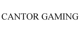 CANTOR GAMING