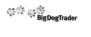 BIGDOGTRADER