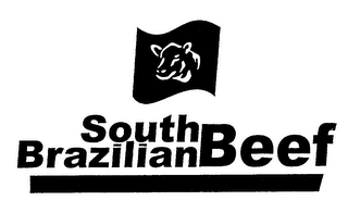 SOUTH BRAZILIAN BEEF