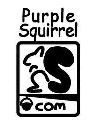 PURPLE SQUIRREL.COM