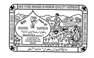 THE HARVEST OF SAFFRON