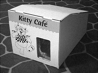 KITTY CAFE'