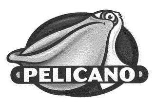 PELICANO