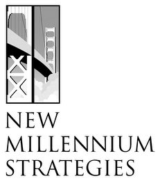 NEW MILLENNIUM STRATEGIES