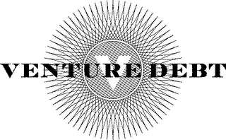 VENTURE DEBT