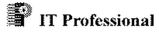 P IT PROFESSIONAL
