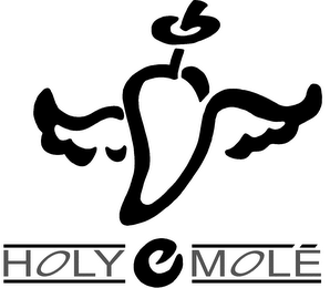 HOLY E MOLE'!