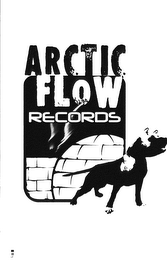 ARCTIC FLOW RECORDS