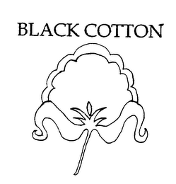 BLACK COTTON