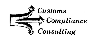 CUSTOMS COMPLIANCE CONSULTING